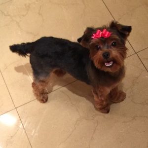 Meet your Posher, Yanet